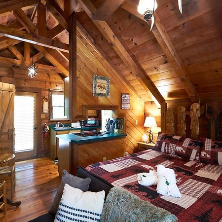 Gatlinburg Area Hottub Cabin - Ladyslipper 塞维尔维尔 外观 照片