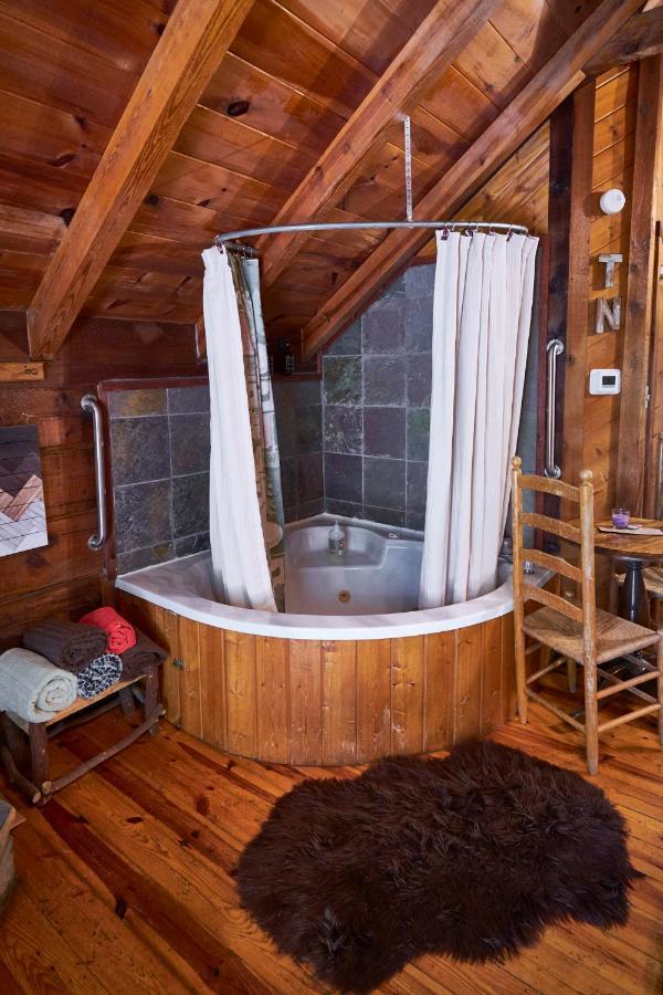 Gatlinburg Area Hottub Cabin - Ladyslipper 塞维尔维尔 外观 照片