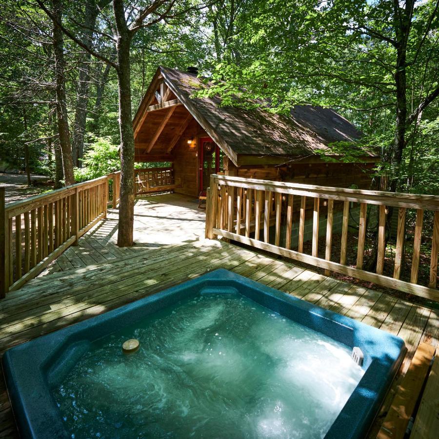Gatlinburg Area Hottub Cabin - Ladyslipper 塞维尔维尔 外观 照片