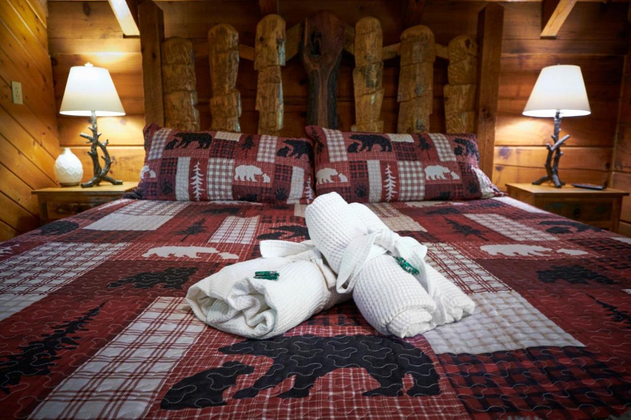 Gatlinburg Area Hottub Cabin - Ladyslipper 塞维尔维尔 外观 照片