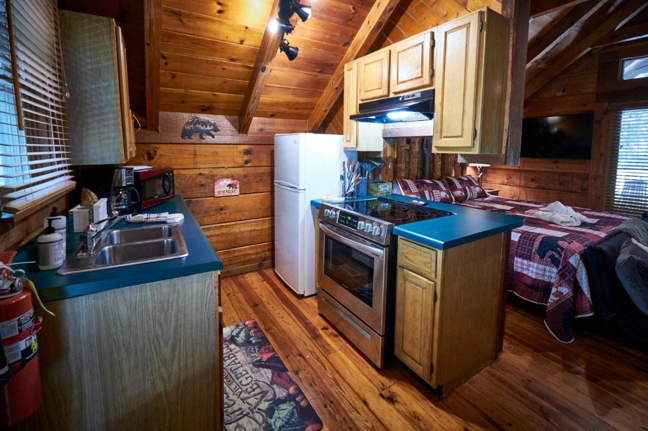 Gatlinburg Area Hottub Cabin - Ladyslipper 塞维尔维尔 外观 照片