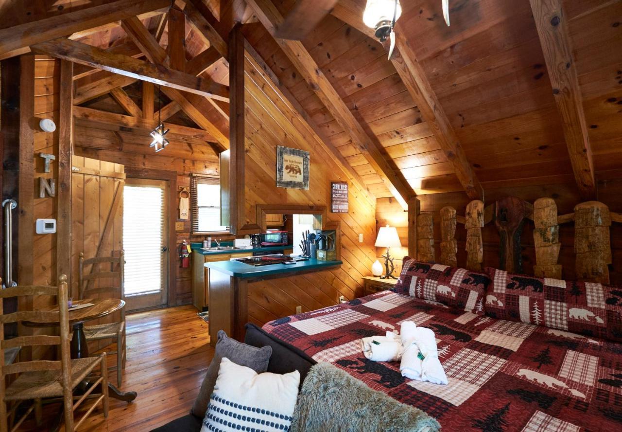 Gatlinburg Area Hottub Cabin - Ladyslipper 塞维尔维尔 外观 照片