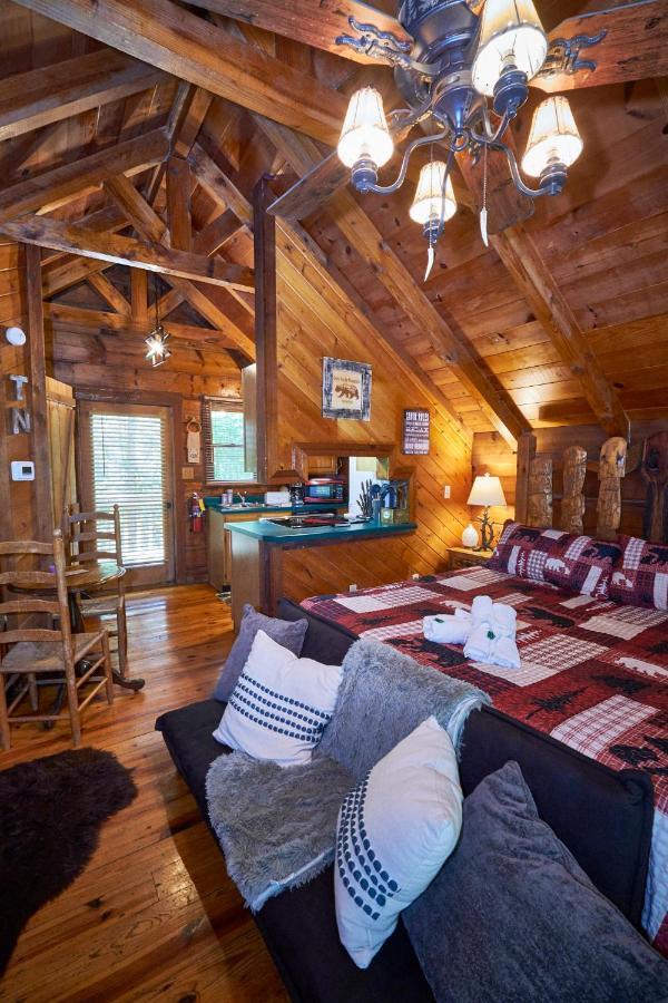 Gatlinburg Area Hottub Cabin - Ladyslipper 塞维尔维尔 外观 照片
