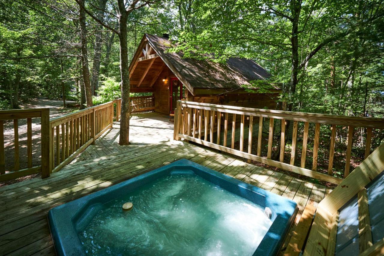 Gatlinburg Area Hottub Cabin - Ladyslipper 塞维尔维尔 外观 照片