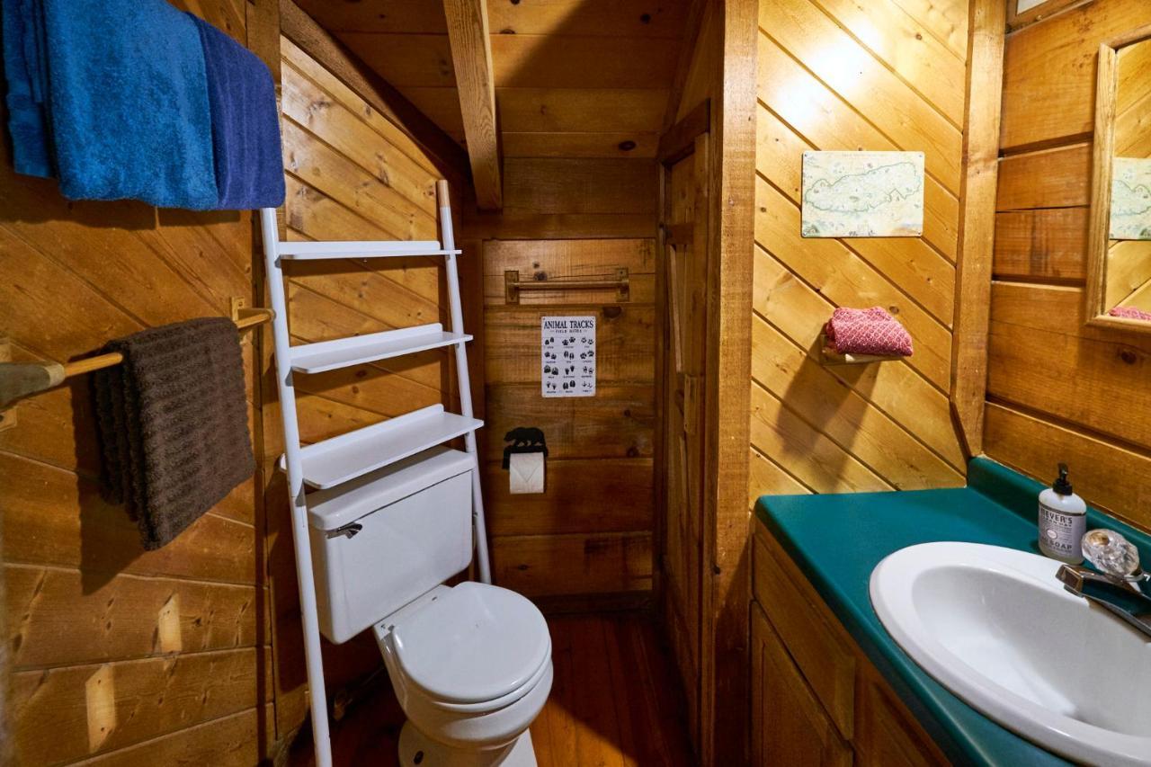 Gatlinburg Area Hottub Cabin - Ladyslipper 塞维尔维尔 外观 照片