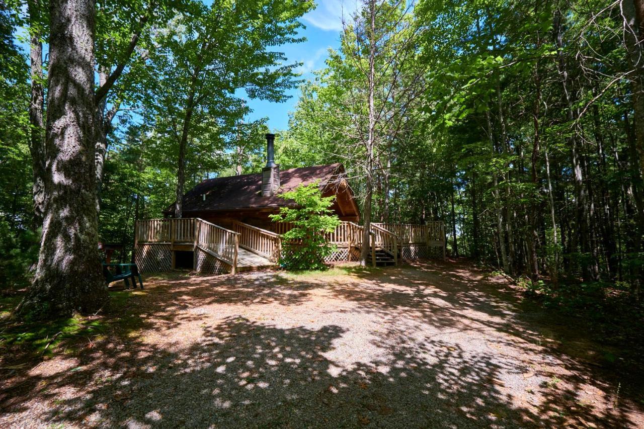 Gatlinburg Area Hottub Cabin - Ladyslipper 塞维尔维尔 外观 照片