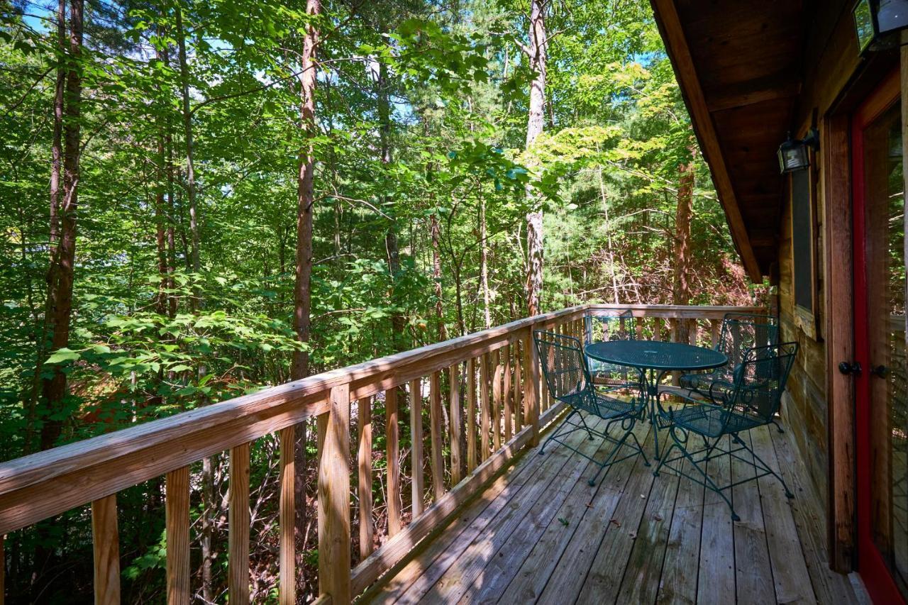 Gatlinburg Area Hottub Cabin - Ladyslipper 塞维尔维尔 外观 照片