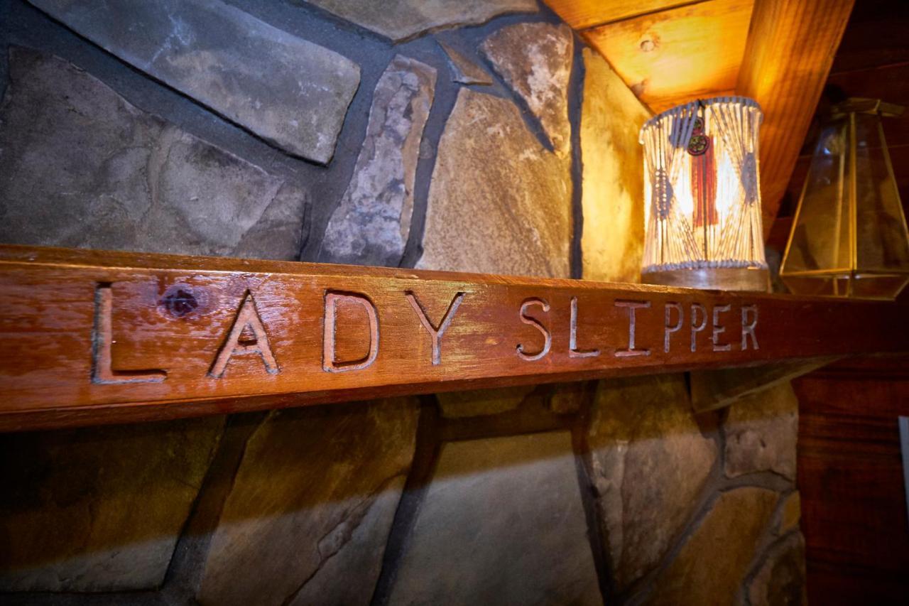 Gatlinburg Area Hottub Cabin - Ladyslipper 塞维尔维尔 外观 照片